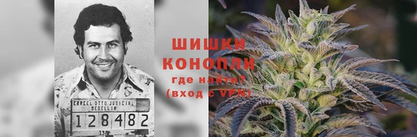 ГАЛЛЮЦИНОГЕННЫЕ ГРИБЫ Балахна