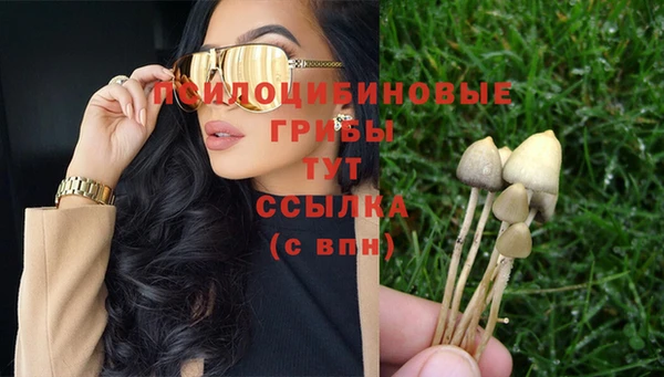 ГАЛЛЮЦИНОГЕННЫЕ ГРИБЫ Балахна
