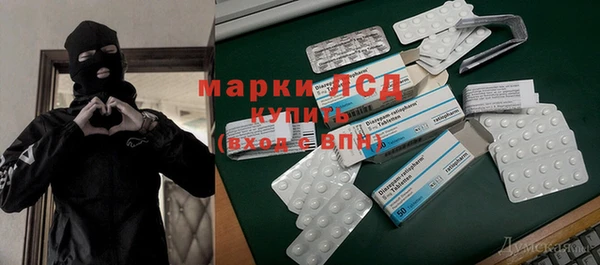 ГАЛЛЮЦИНОГЕННЫЕ ГРИБЫ Балахна