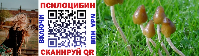 Галлюциногенные грибы Cubensis  купить наркотик  Лаишево 